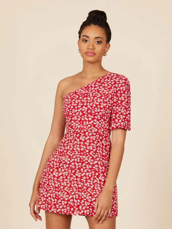 Carrall Mini Dress sold by Park and Fifth