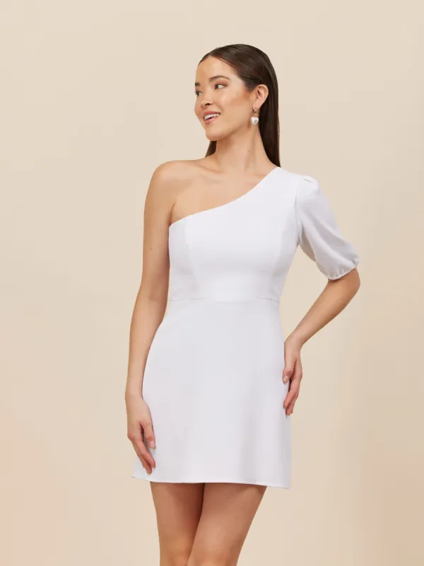 Carrall Mini Dress sold by Park and Fifth