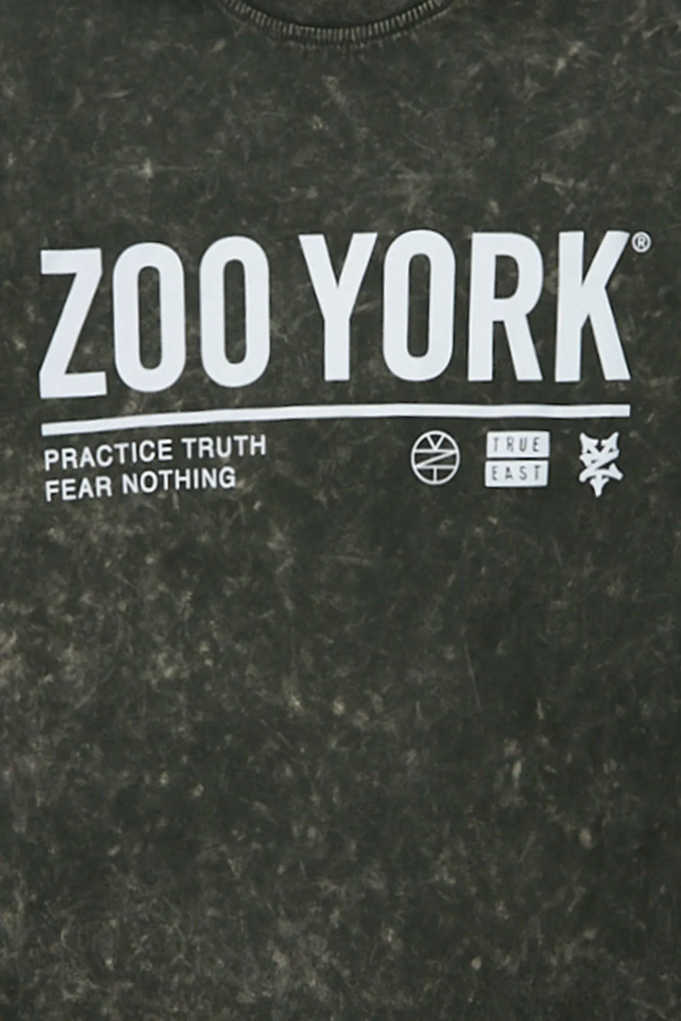 T-shirt surdimensionné délavé imprimé Logo Zoo York sold by West49 product image thumbnail 2