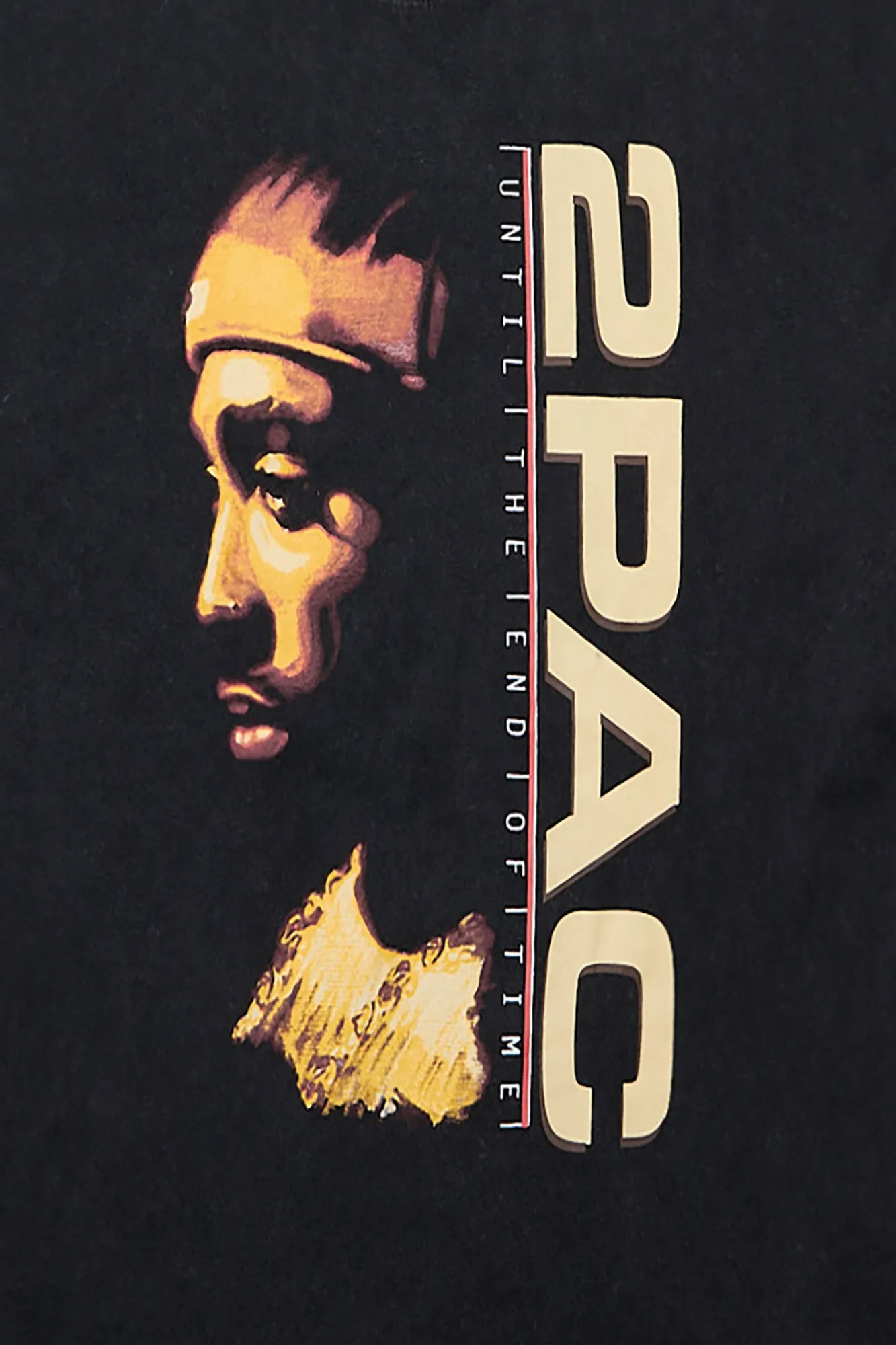 Mens 2Pac Stonewash Graphic Oversized Tee sold by West49 product image thumbnail 2