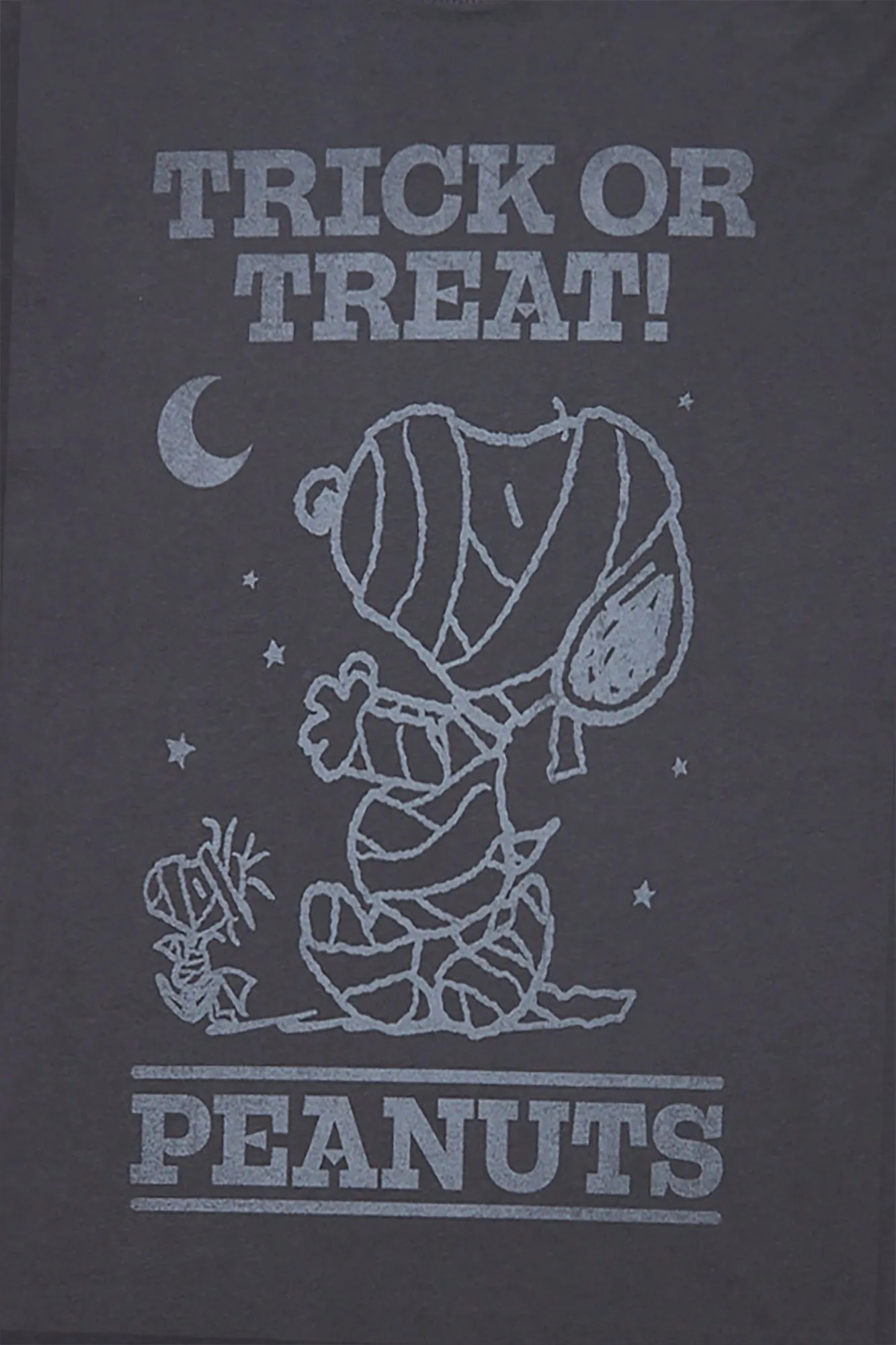 Peanuts Trick Or Treat! Graphic Boyfriend Tee sold by West49 product image thumbnail 2