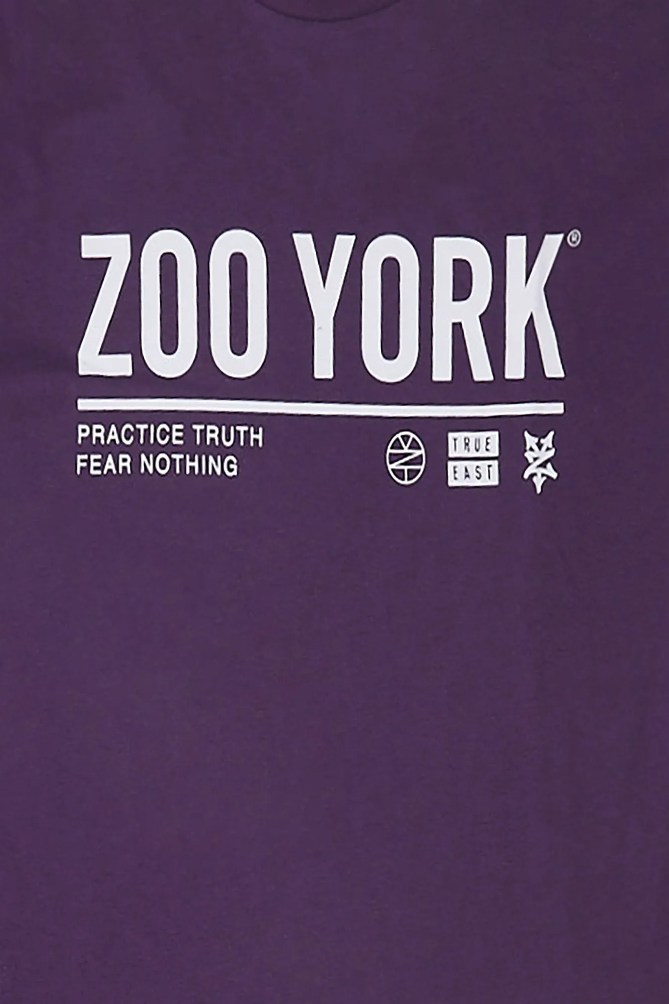 Zoo York Mens True East Logo T-Shirt sold by West49 product image thumbnail 4