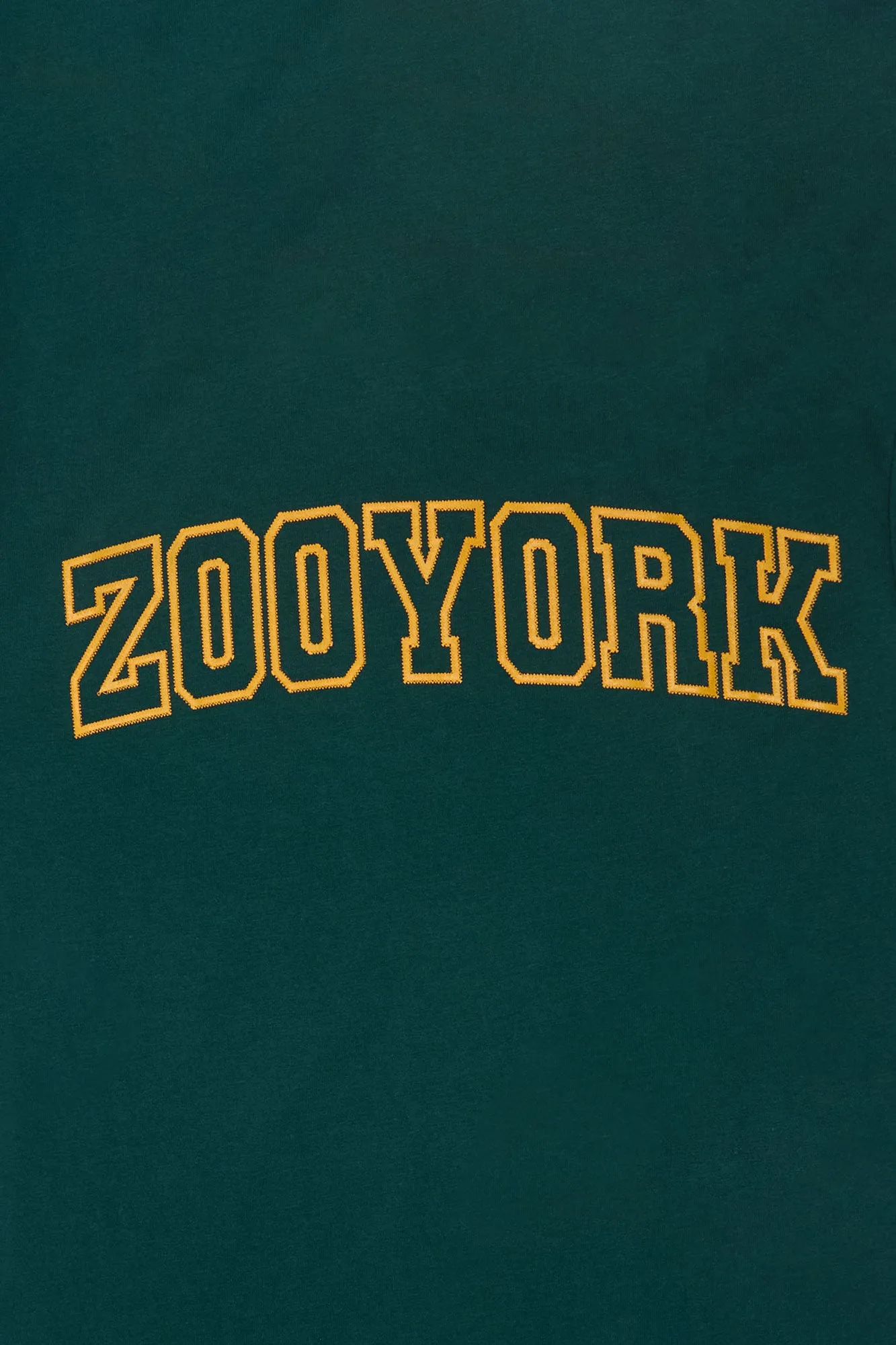T-shirt à logo HD Zoo York homme sold by West49 product image thumbnail 2