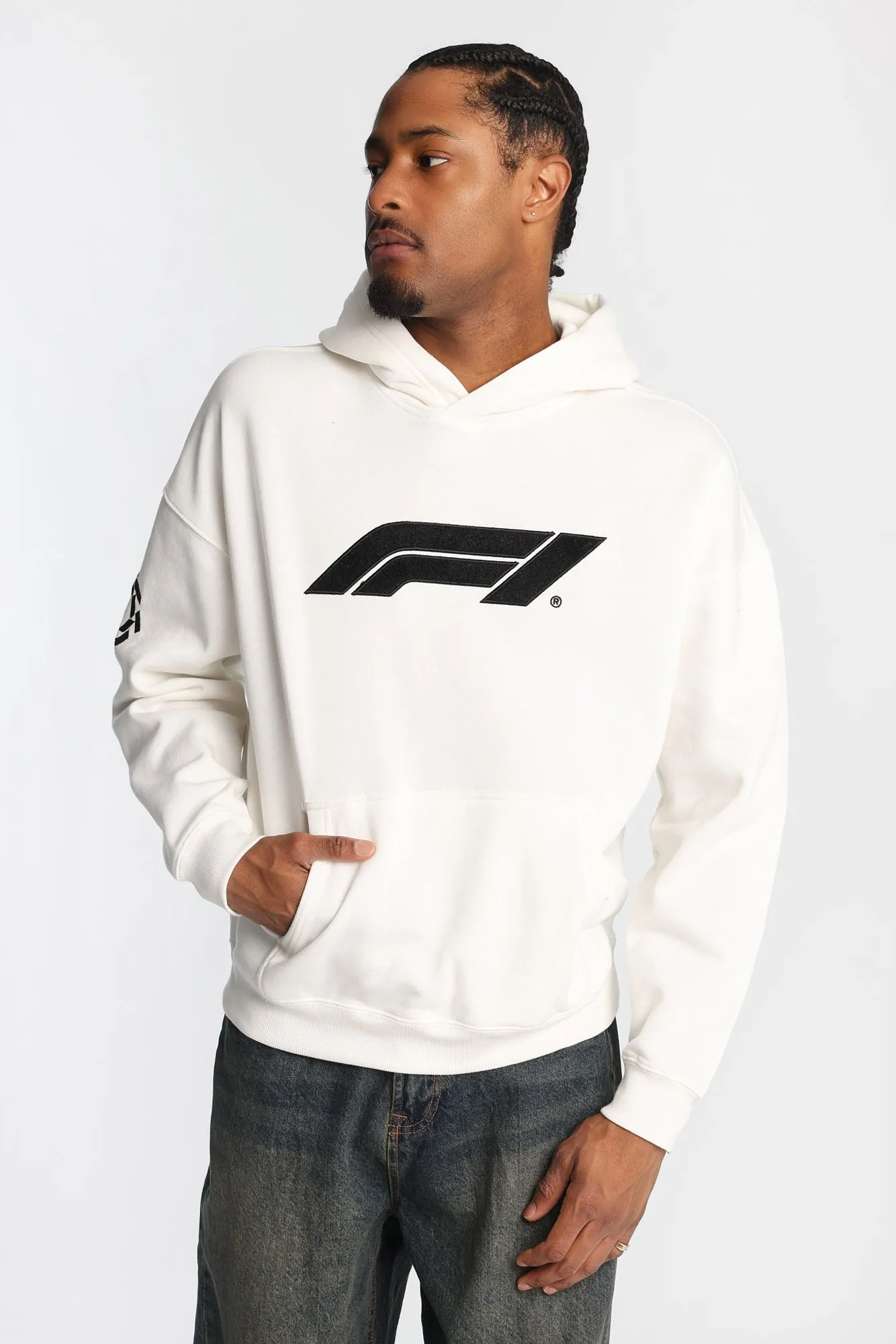 Formula 1 Chenille Logo Hoodie sold by West49 product image thumbnail 3