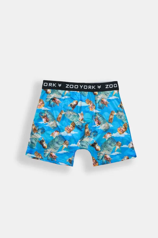 Zoo York Cats & Ice Cream Boxer Brief sold by West49