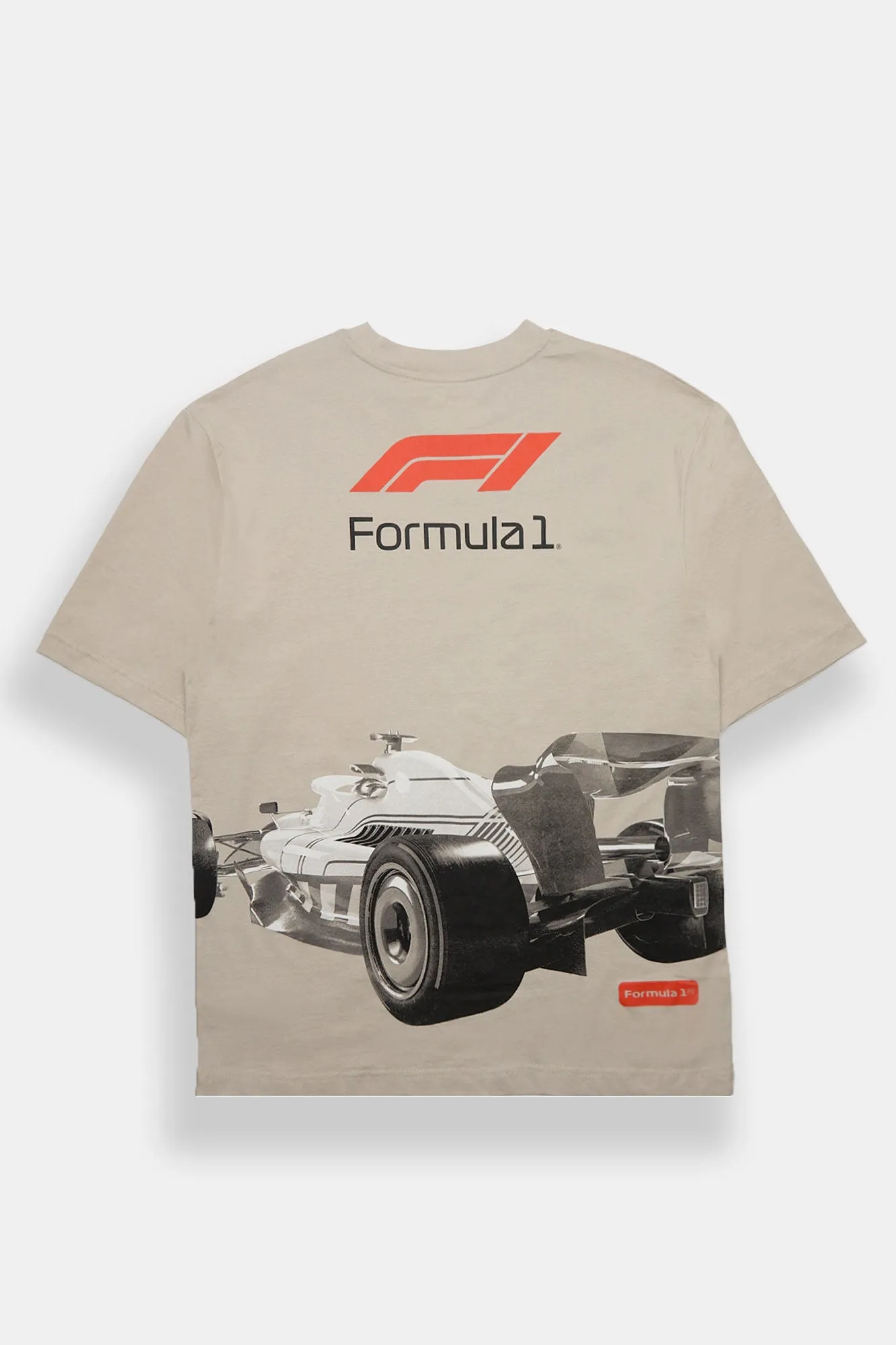 Formula 1 Panel Print Oversized Tee sold by West49 product image thumbnail 2