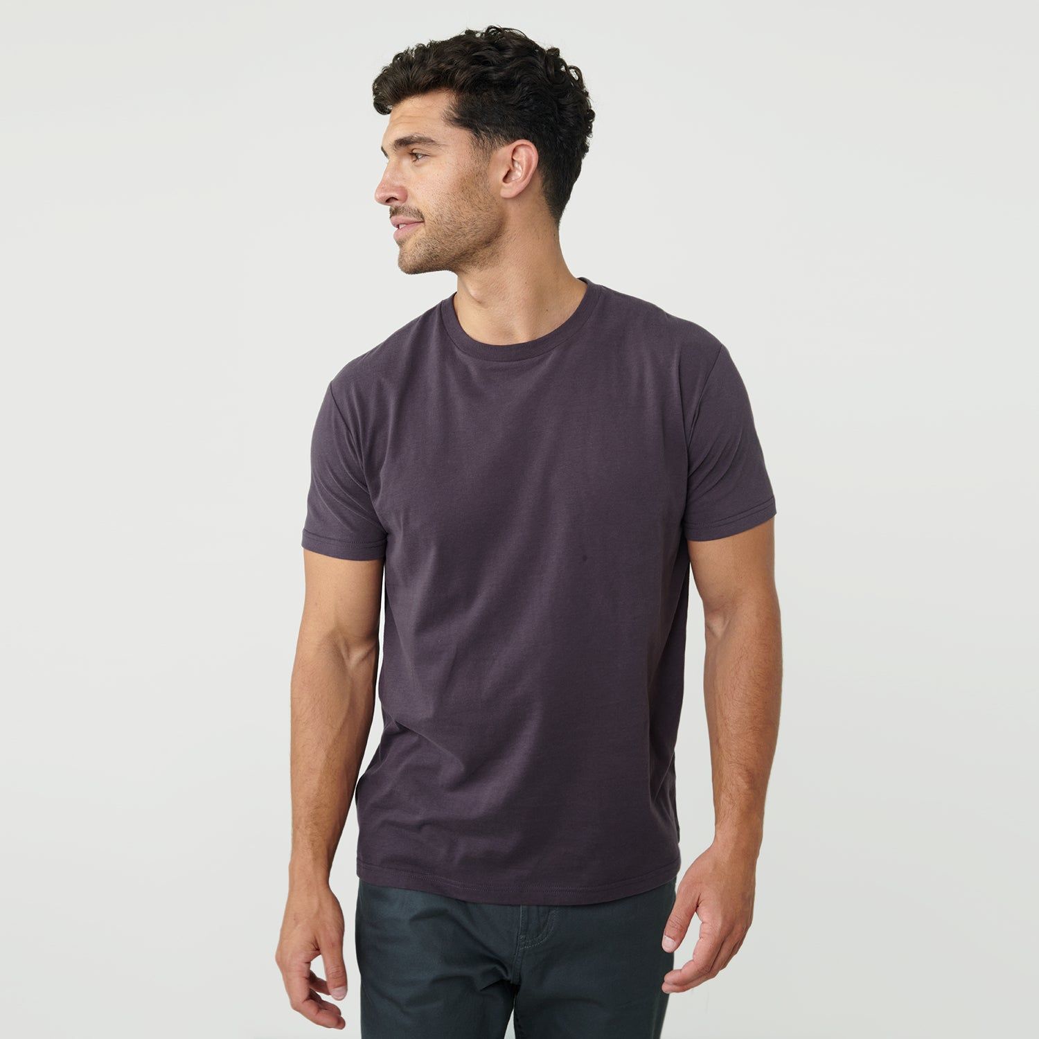 Dark Purple Crew Neck T-Shirt sold by True Classic