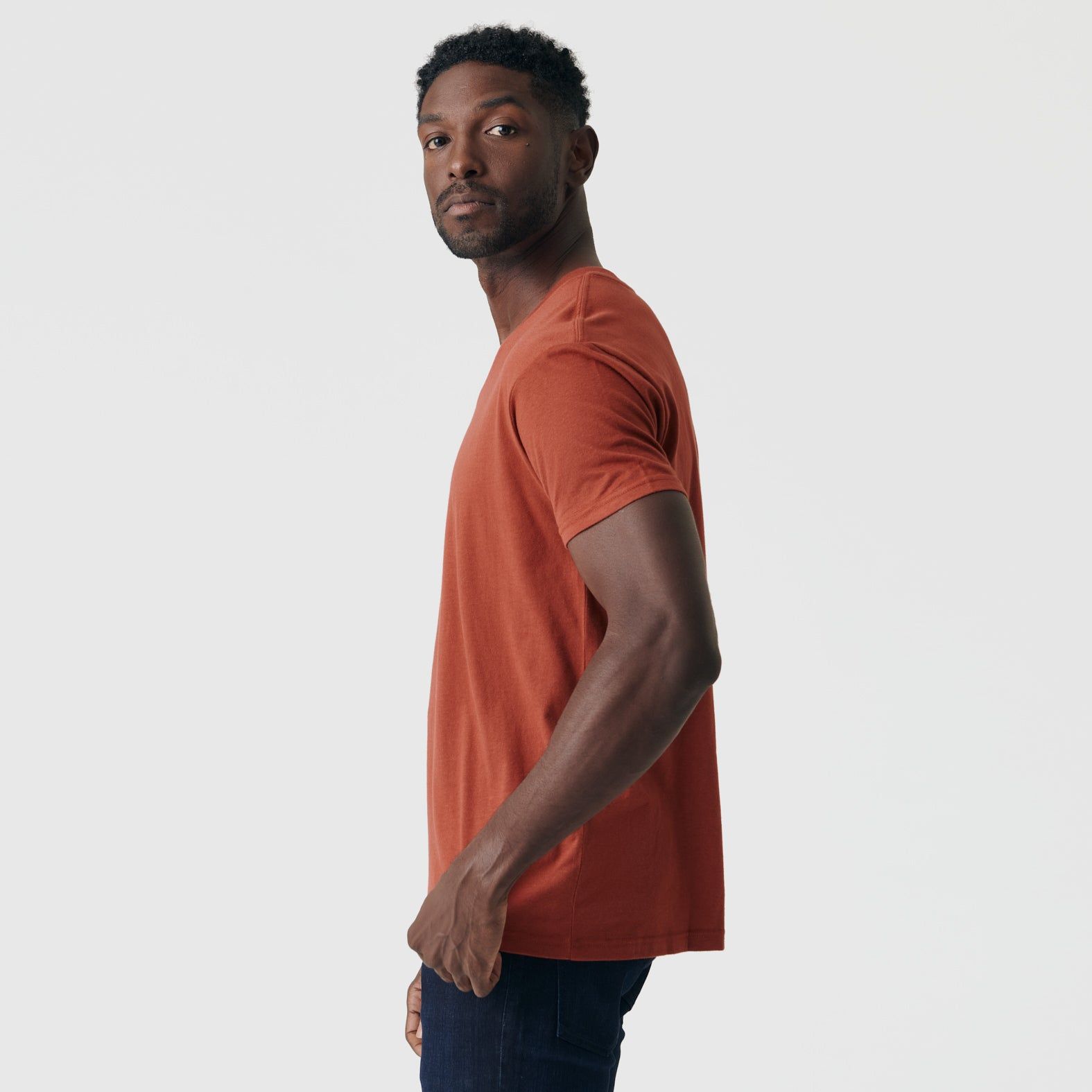 Rust V-Neck Tee sold by True Classic product image thumbnail 4