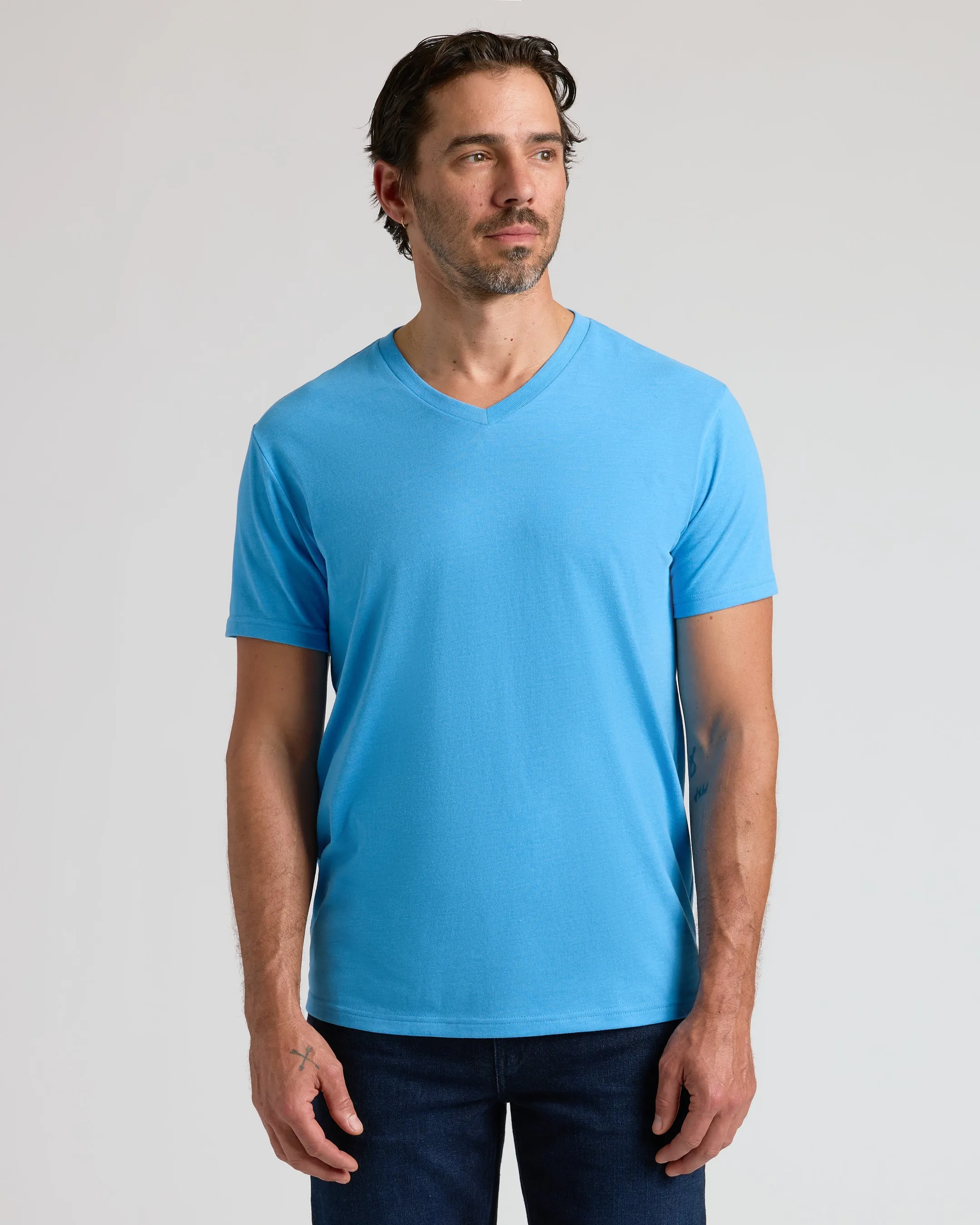 Seasonal V-Neck 6-Pack sold by True Classic product image thumbnail 4