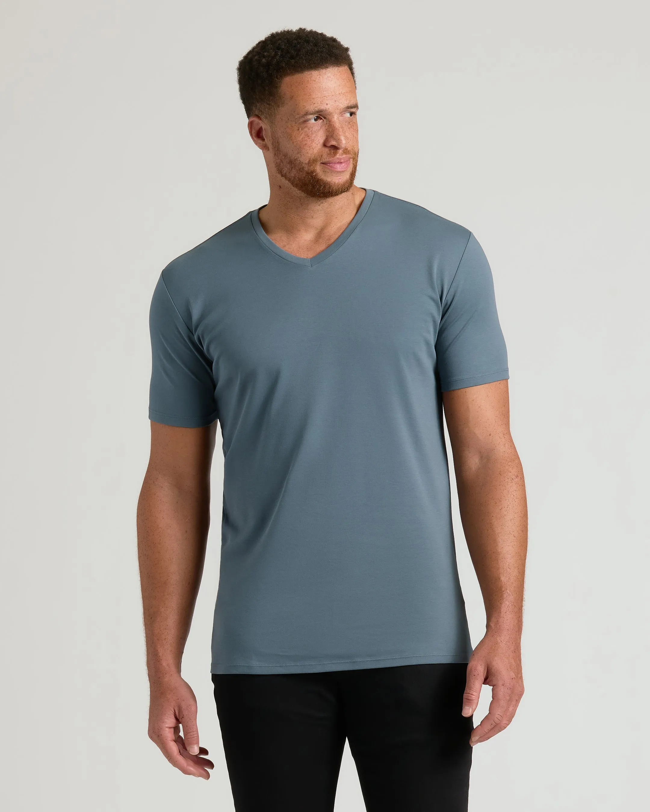 The Standard Tall Premium Pima V-Neck 4-Pack sold by True Classic product image thumbnail 4