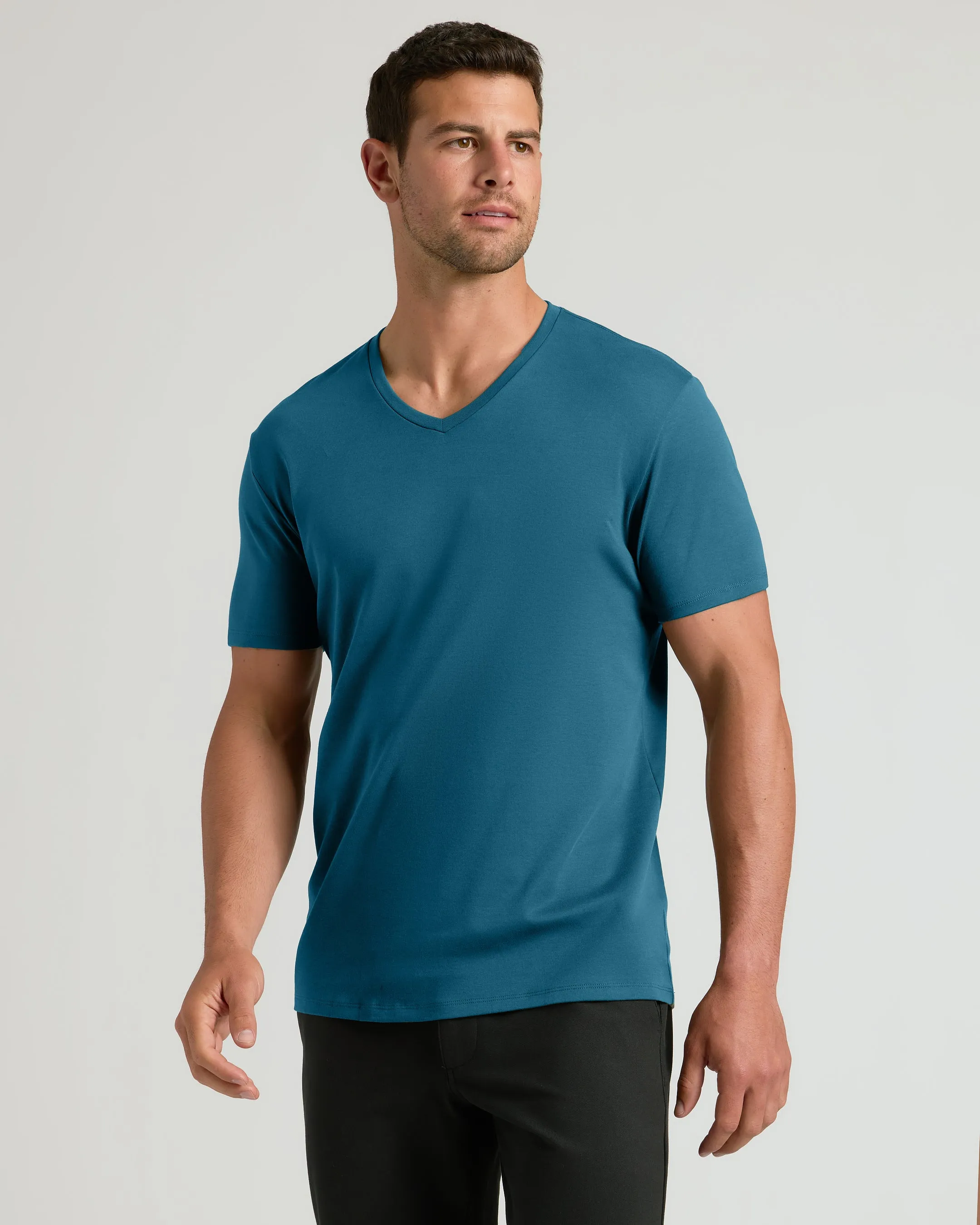 Navy & Lagoon Premium Pima V-Neck 2-Pack sold by True Classic product image thumbnail 3