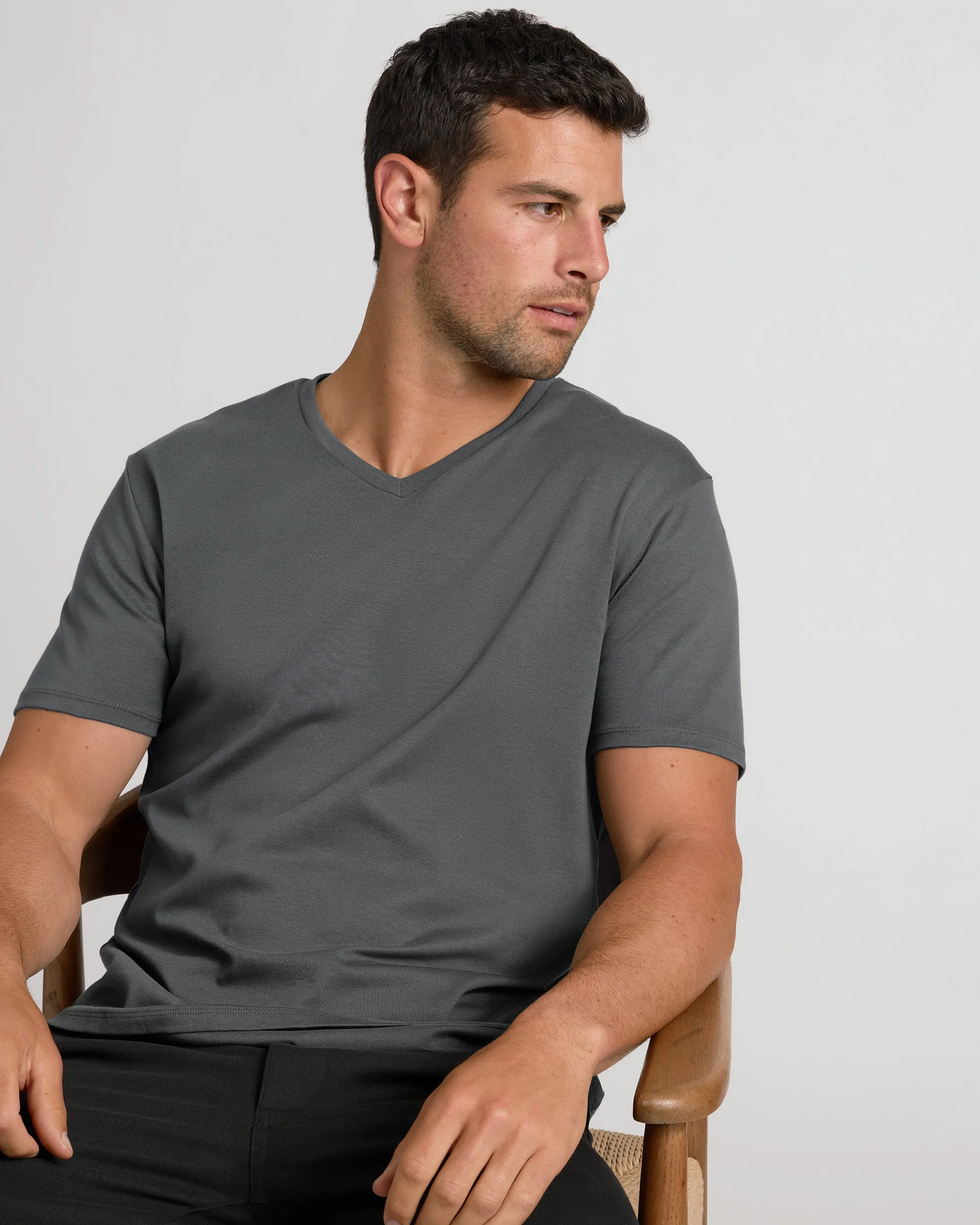 Carbon Premium Pima V-Neck 2-Pack sold by True Classic product image thumbnail 4
