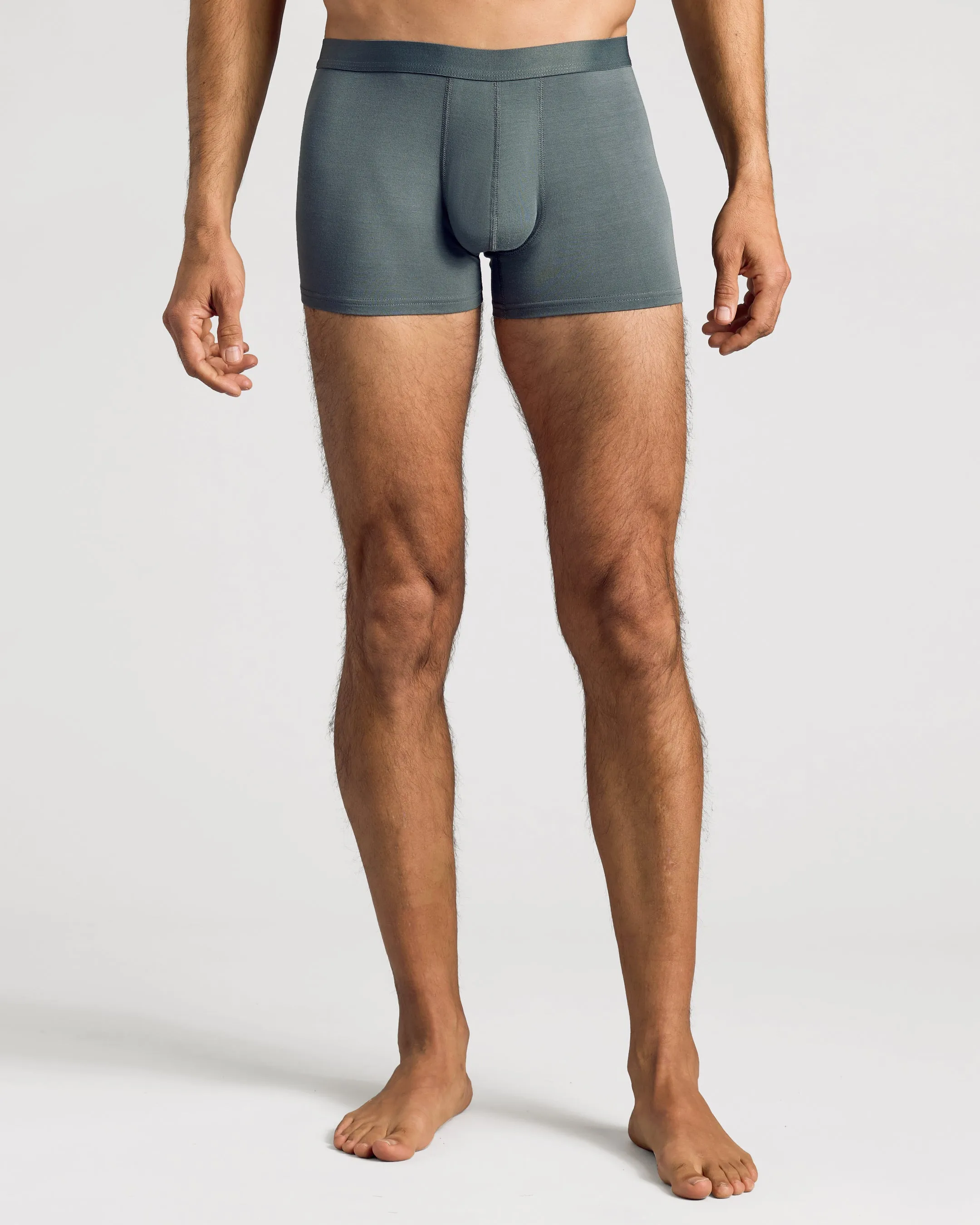 Carbon Boxer Trunk sold by True Classic product image thumbnail 3