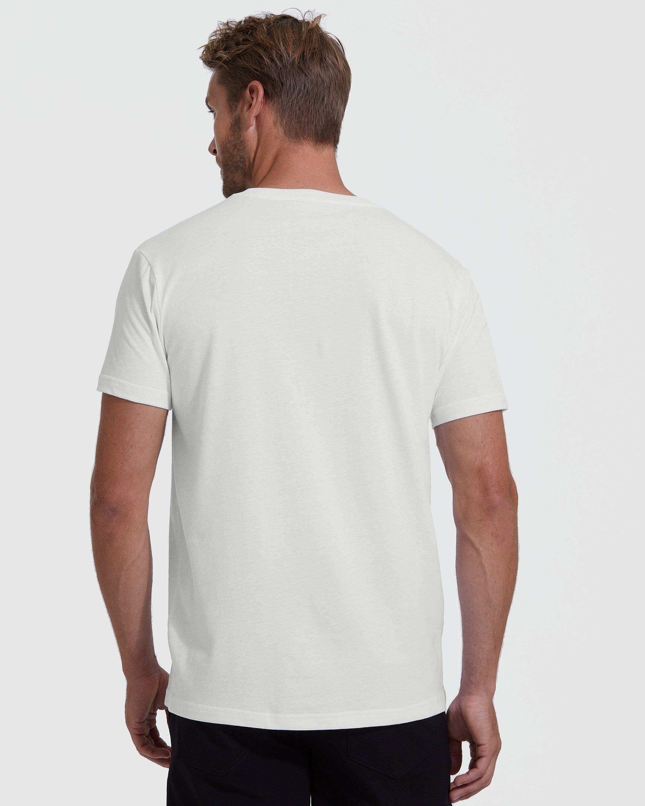 Off White V-Neck T-Shirt sold by True Classic product image thumbnail 3