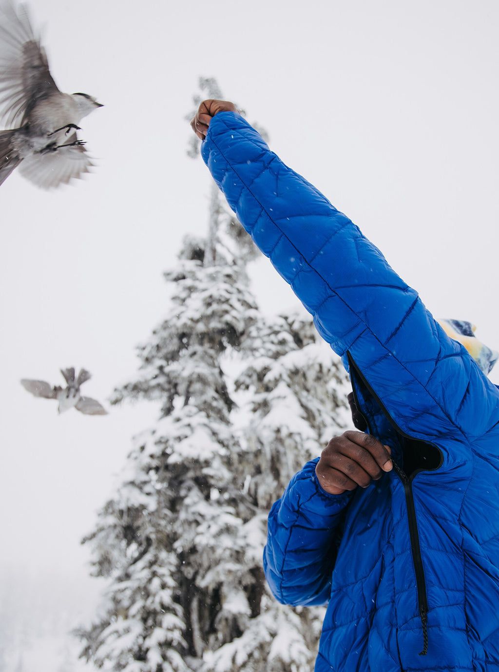 Ak Baker Hooded Down Jacket - Men's|-|Doudoune à capuche Ak Baker - Homme sold by Altitude Sports product image thumbnail 3