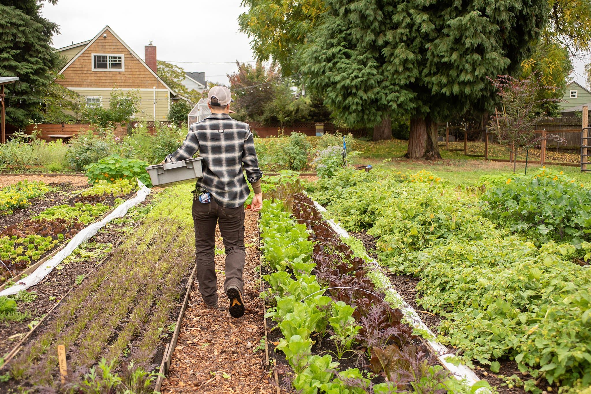 Day Construct Stretch Canvas - Women's|-|Pantalon en toile extensible Day Construct - Femme sold by Altitude Sports product image thumbnail 4