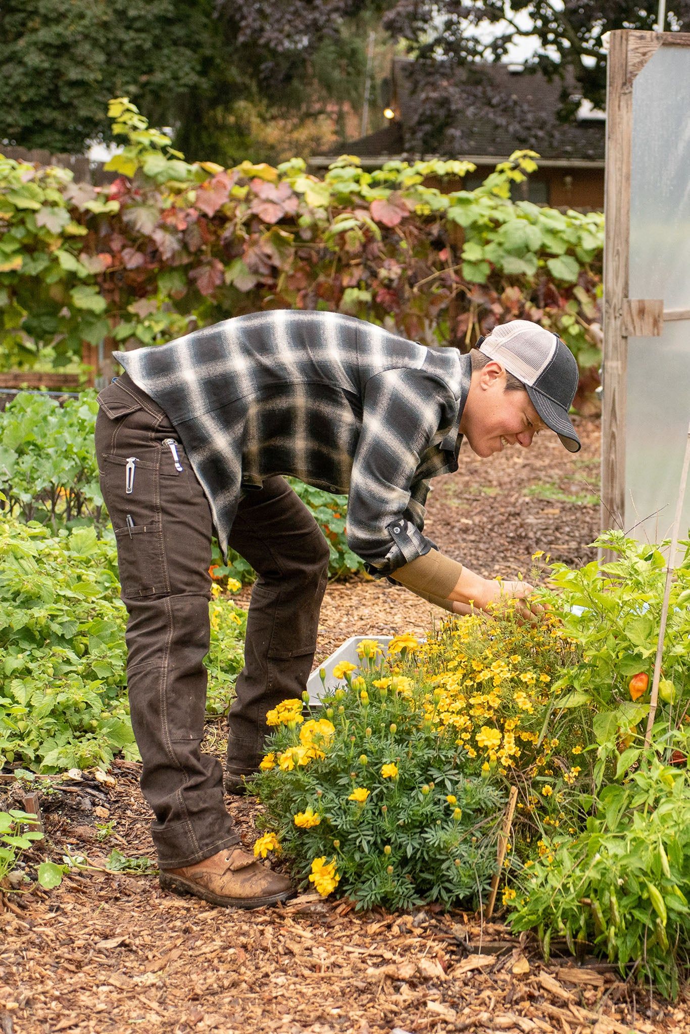 Day Construct Stretch Canvas - Women's|-|Pantalon en toile extensible Day Construct - Femme sold by Altitude Sports product image thumbnail 5