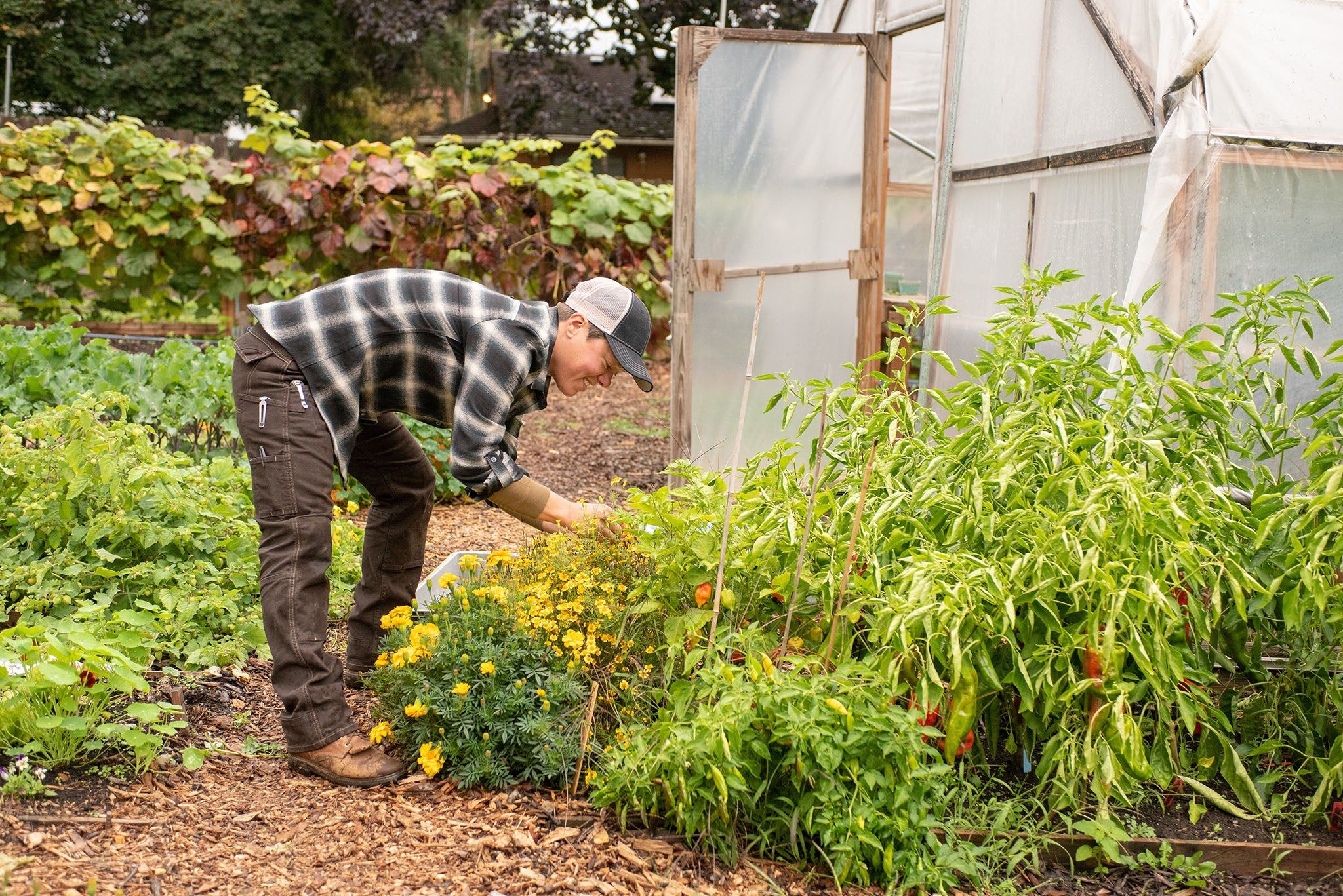 Day Construct Stretch Canvas - Women's|-|Pantalon en toile extensible Day Construct - Femme sold by Altitude Sports product image thumbnail 3