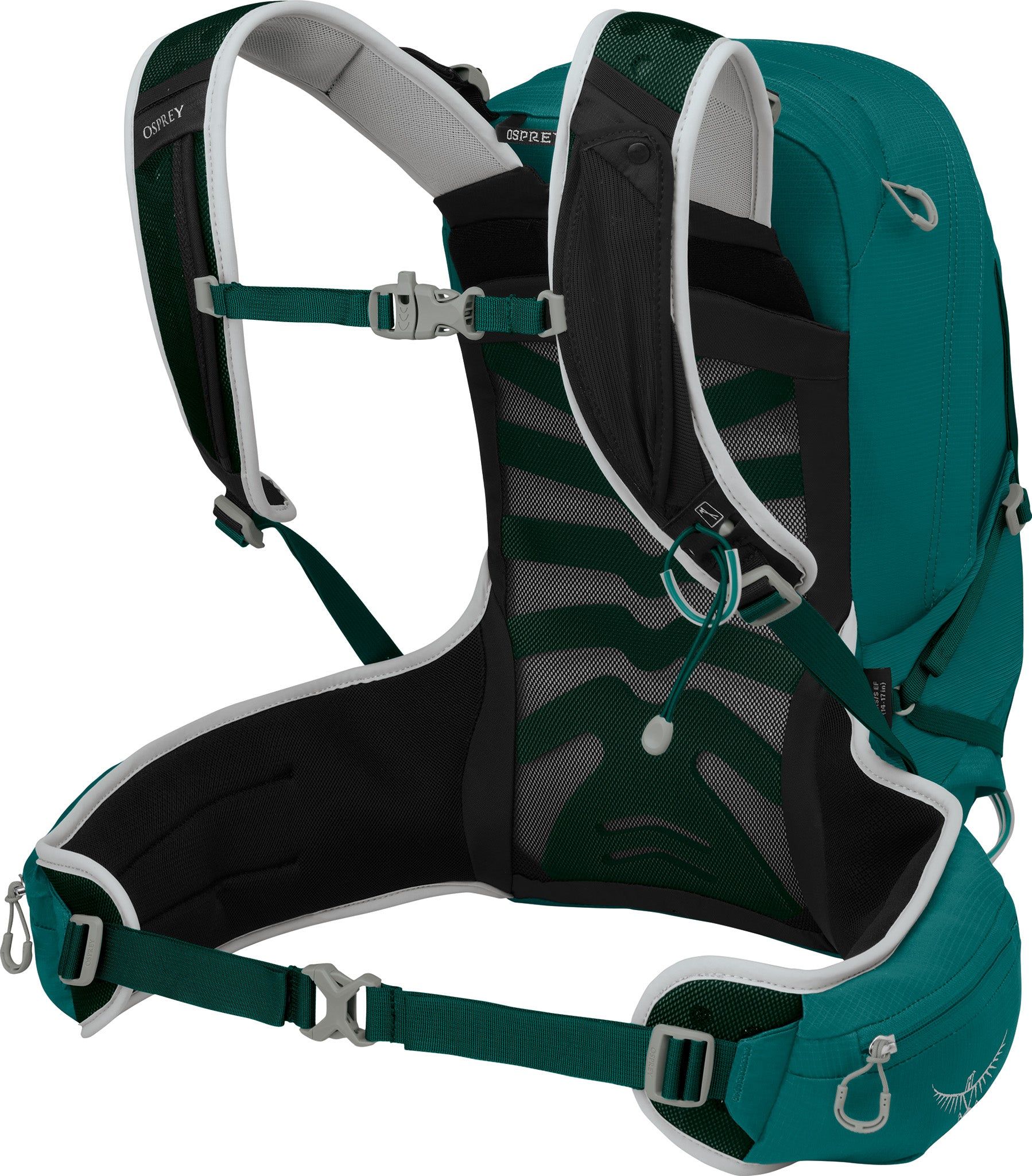 Tempest 20L Extended Fit Backpack - Women's|-|Sac à dos Tempest Extended Fit 20L - Femme sold by Altitude Sports product image thumbnail 5