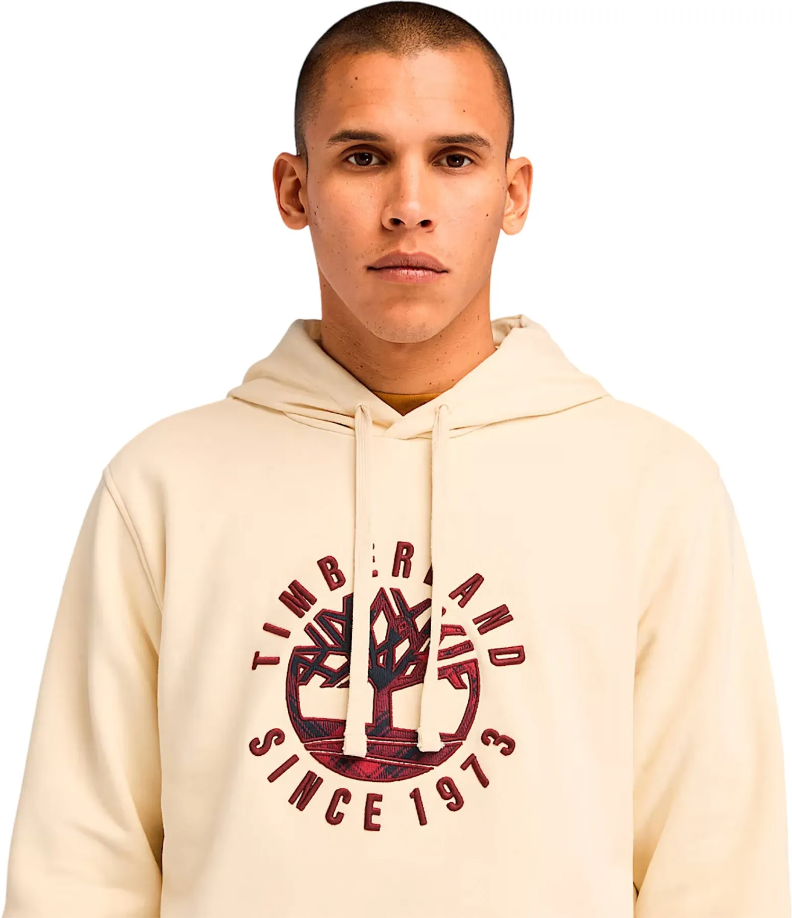 Holiday Graphic Hoodie - Men's|-|Chandail à capuchon Holiday Graphic - Homme sold by Altitude Sports product image thumbnail 3