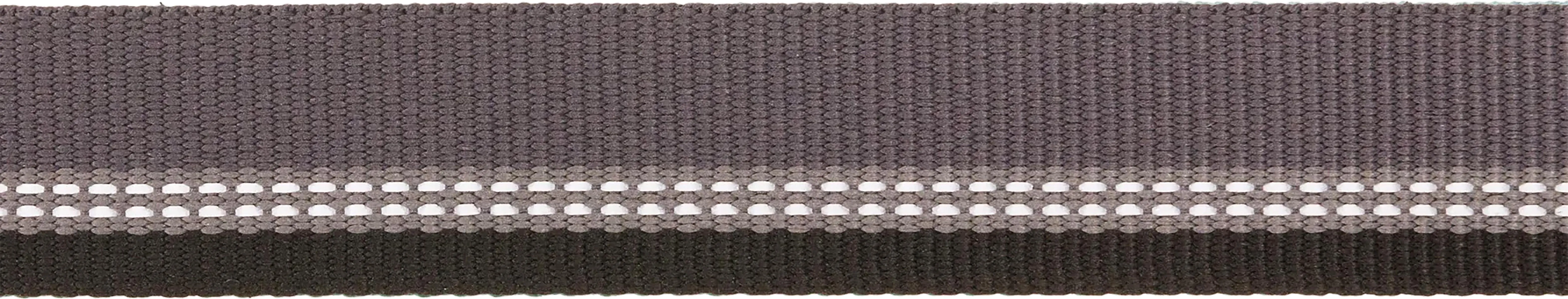 Top Rope Metal Buckle Dog Collar|-|Collier à boucle métallique pour chien Top Rope sold by Altitude Sports product image thumbnail 3