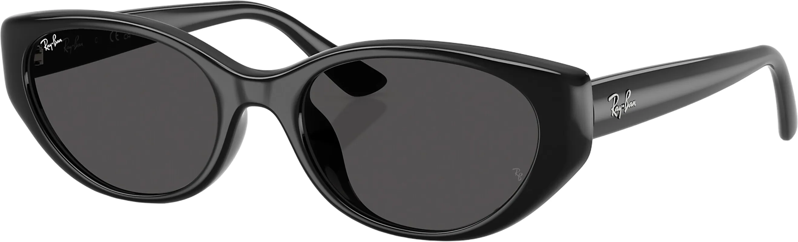 RB4457D Bio-Based Sunglasses - Polished Black - Dark Grey Lens|-|Lunettes de soleil RB4457D Bio-Based - Polished Black - Verres Dark Grey sold by Altitude Sports