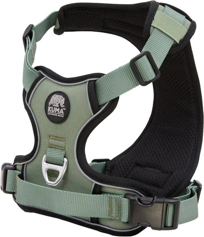 Lazy Bear Dog Harness|-|Harnais pour chien Lazy Bear sold by Altitude Sports