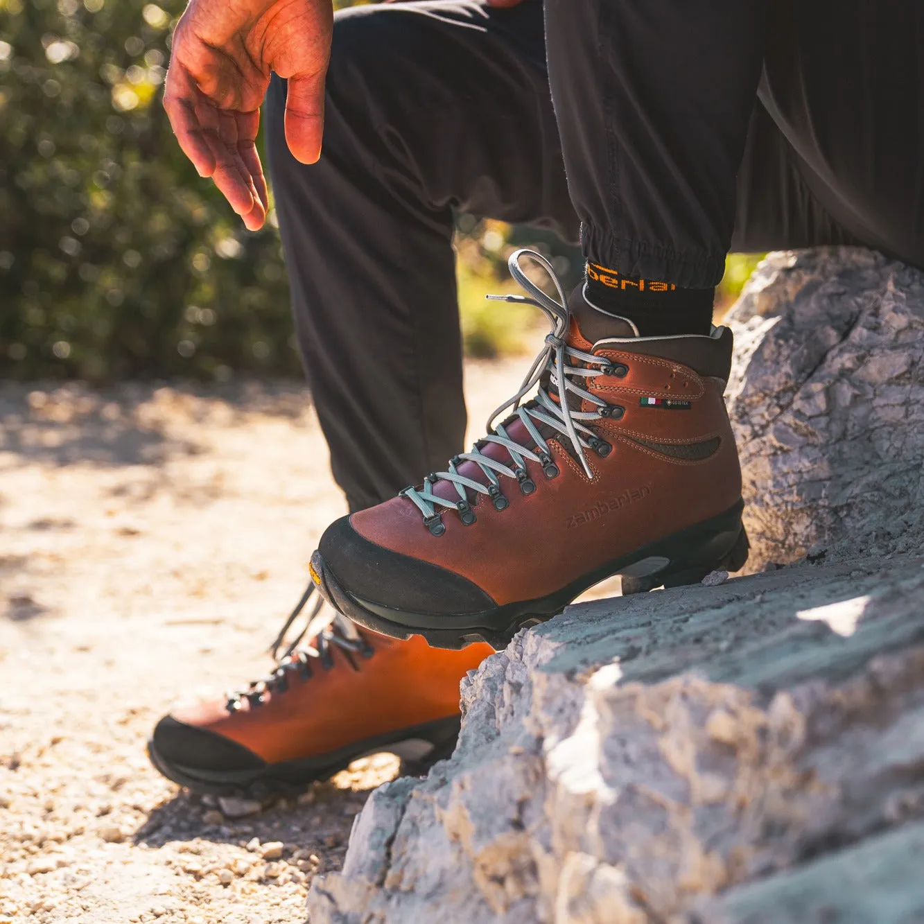 Vioz Lux GTX RR Hiking and Backpacking Boots - Men's|-|Bottes de randonnée et de trekking Vioz Lux GTX RR - Homme sold by Altitude Sports product image thumbnail 5