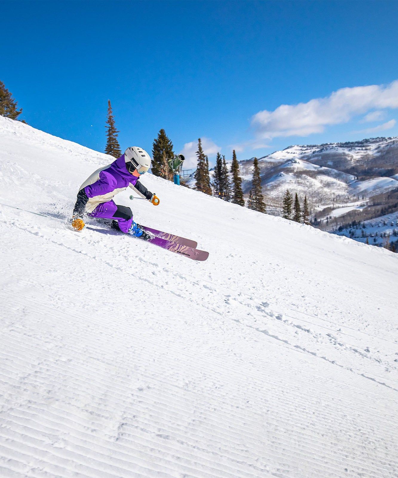 Moon Patrol GORE-TEX Shell Jacket - Women's|-|Manteau coquille GORE-TEX Moon Patrol - Femme sold by Altitude Sports product image thumbnail 13