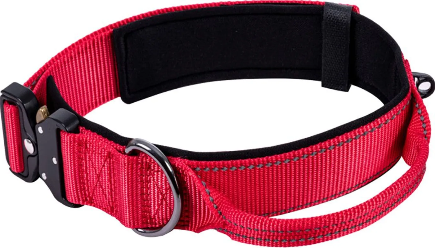 Mission Dog Collar - Large|-|Collier de chien Mission - Large sold by Altitude Sports