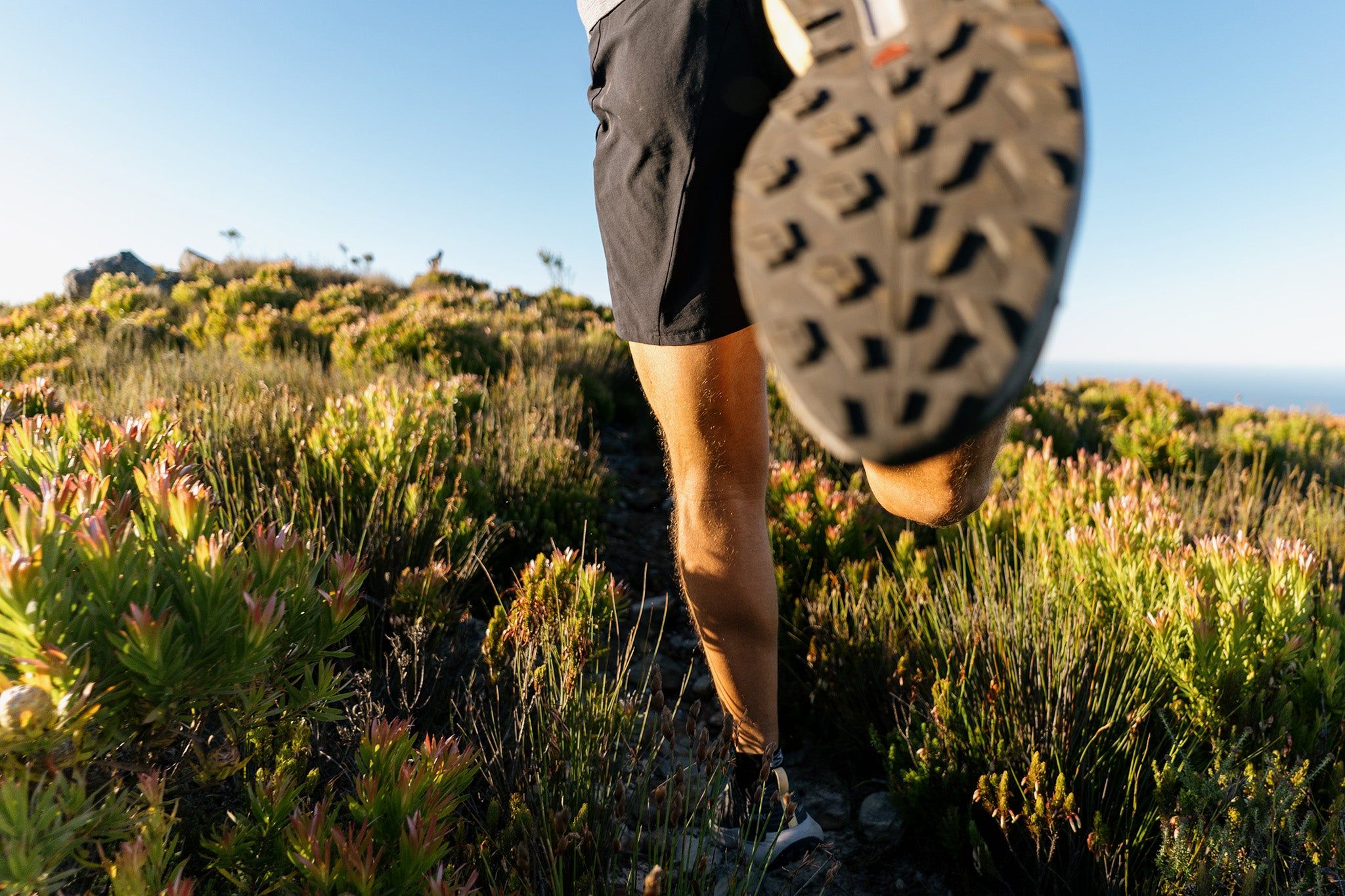 S/Lab Genesis Trail Running Shoes - Unisex|-|Chaussures de course sur sentier S/Lab Genesis - Unisexe sold by Altitude Sports product image thumbnail 4