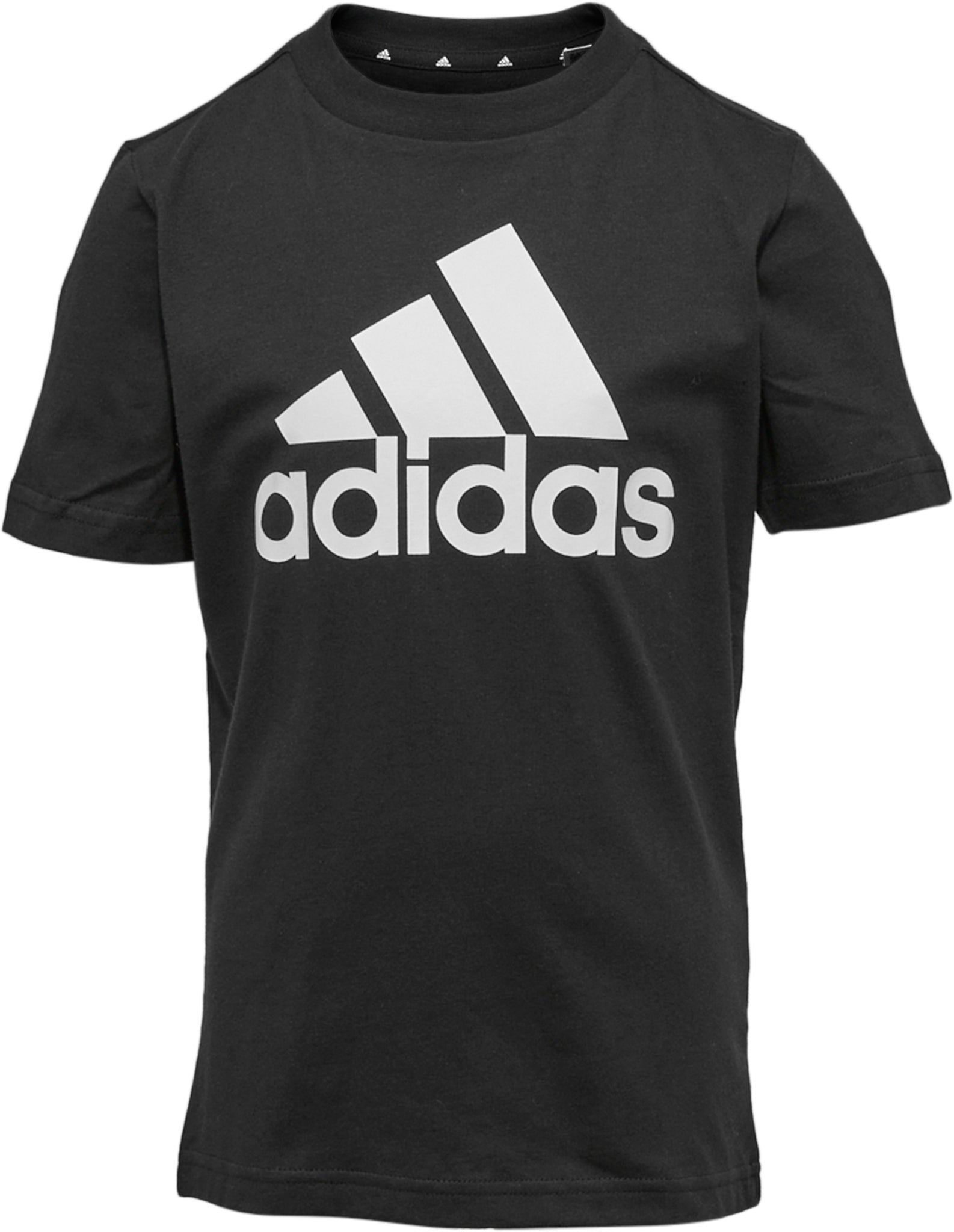 Highland Insulated Hooded Jacket - Men's|-|Manteau isolé à capuchon Highland - Homme sold by Altitude Sports product image thumbnail 5