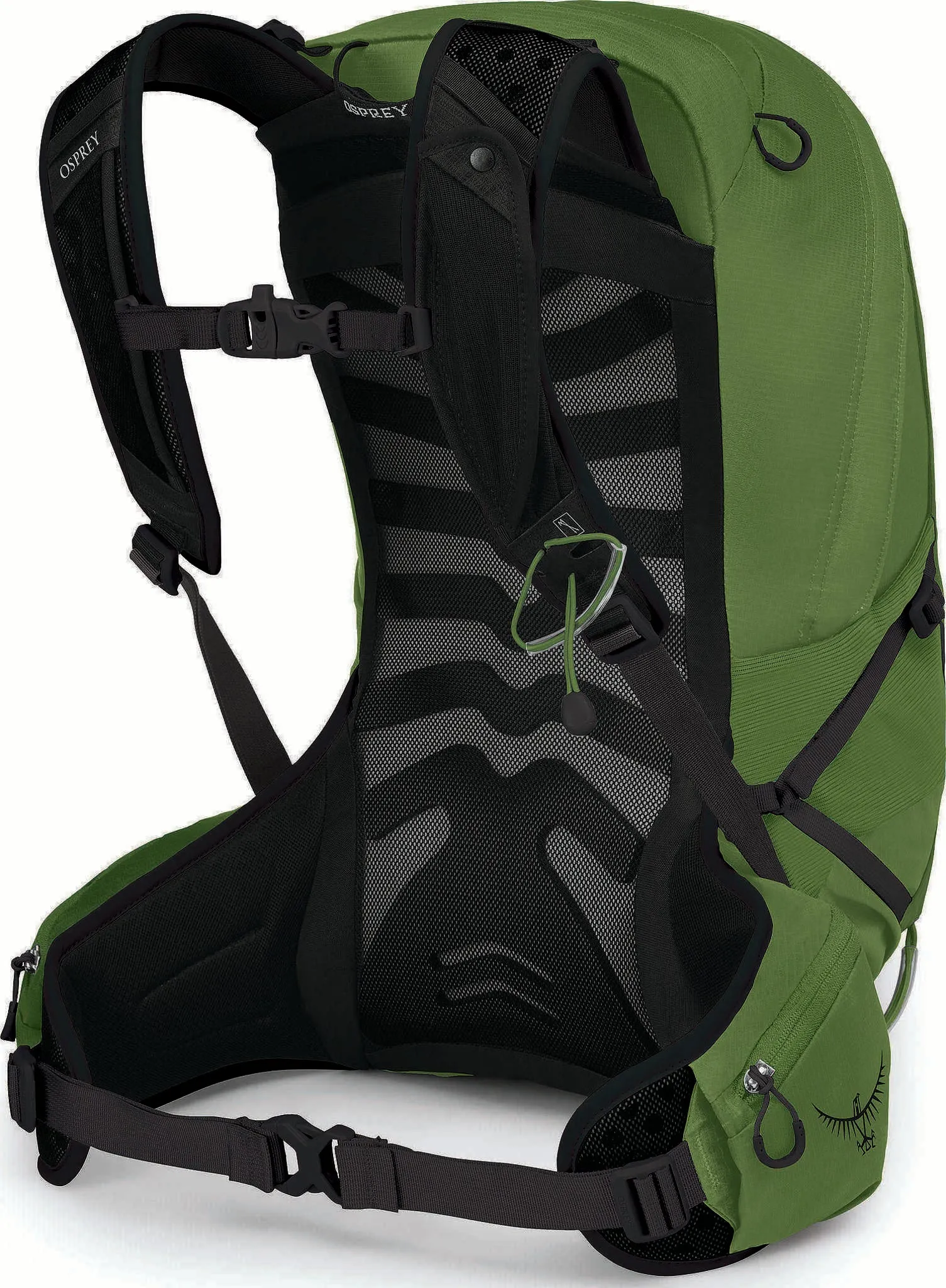 Talon Hiking Backpack 22L - Men's|-|Sac à dos de randonnée Talon 22L - Homme sold by Altitude Sports product image thumbnail 4