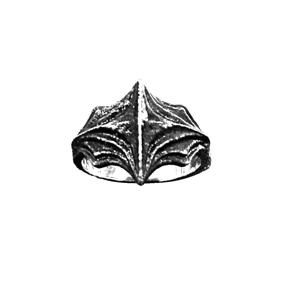 Erd Ring sold by Avail Jewelry product image thumbnail 2