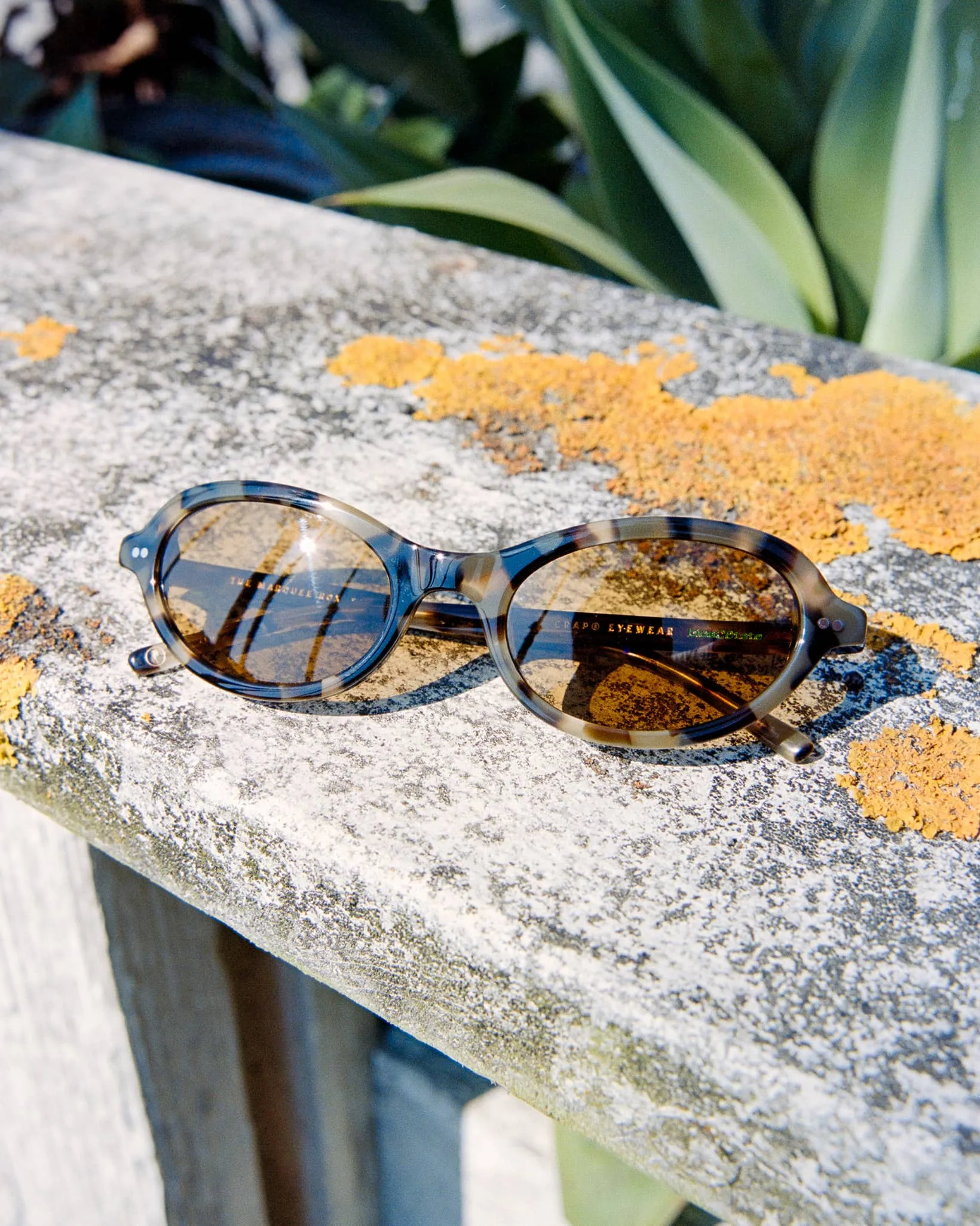 The Marquee Rox - Jaguar Tortoise Bio Polarized sold by Crap Eyewear product image thumbnail 5