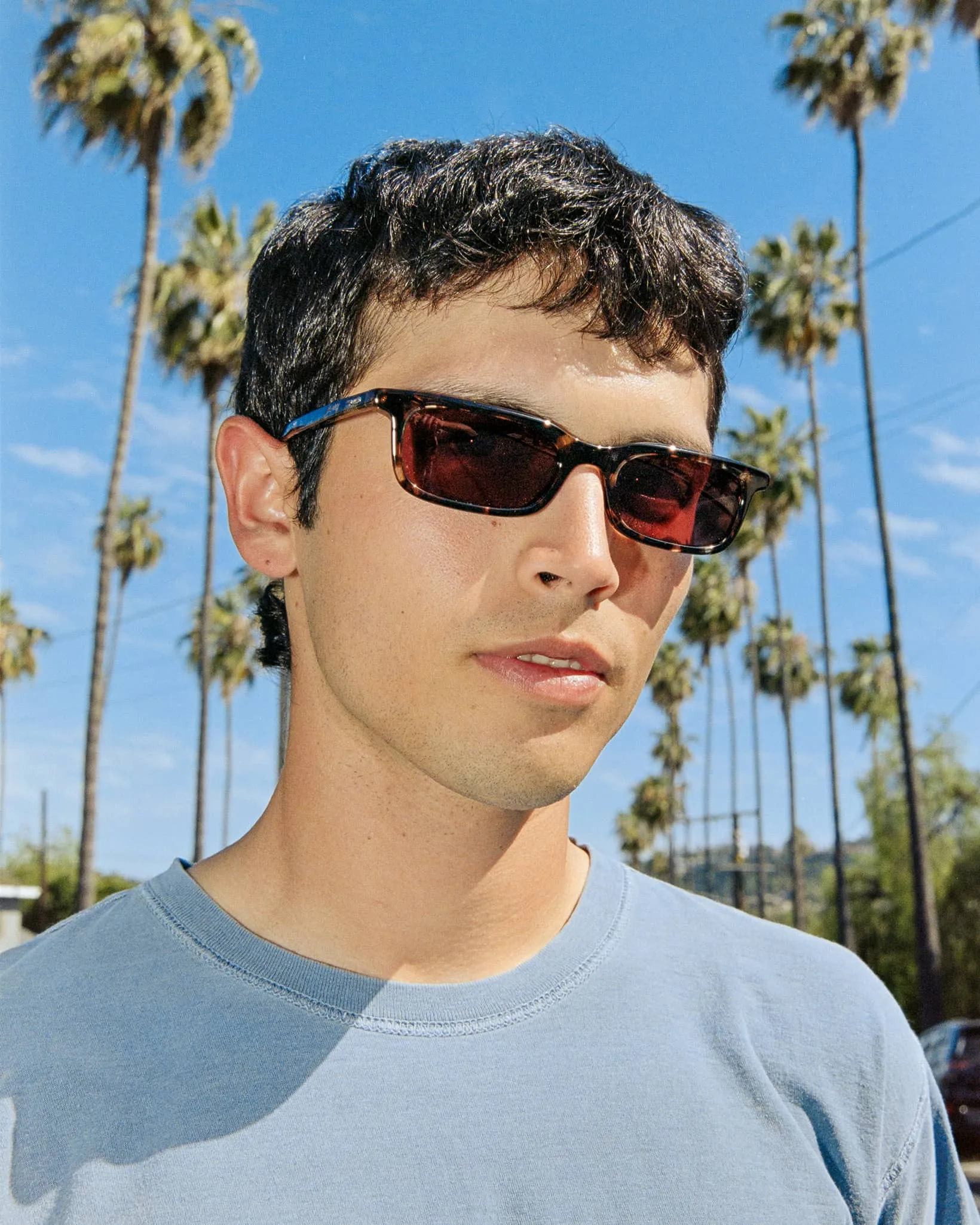 The Idle Daze - Desert Tortoise Bio Polarized sold by Crap Eyewear product image thumbnail 4