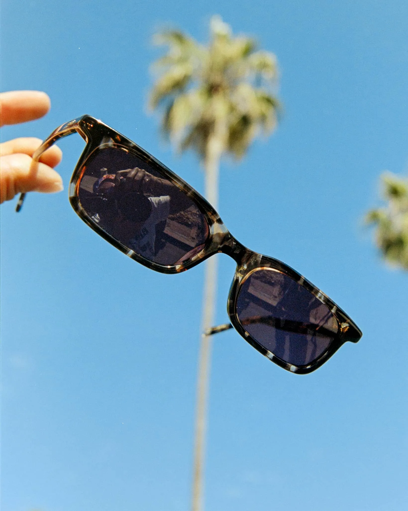 The Idle Daze - Desert Tortoise Bio Polarized sold by Crap Eyewear product image thumbnail 5