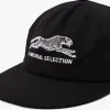 Brother Brother Natural Selection Cap Black / White sold by Livestock