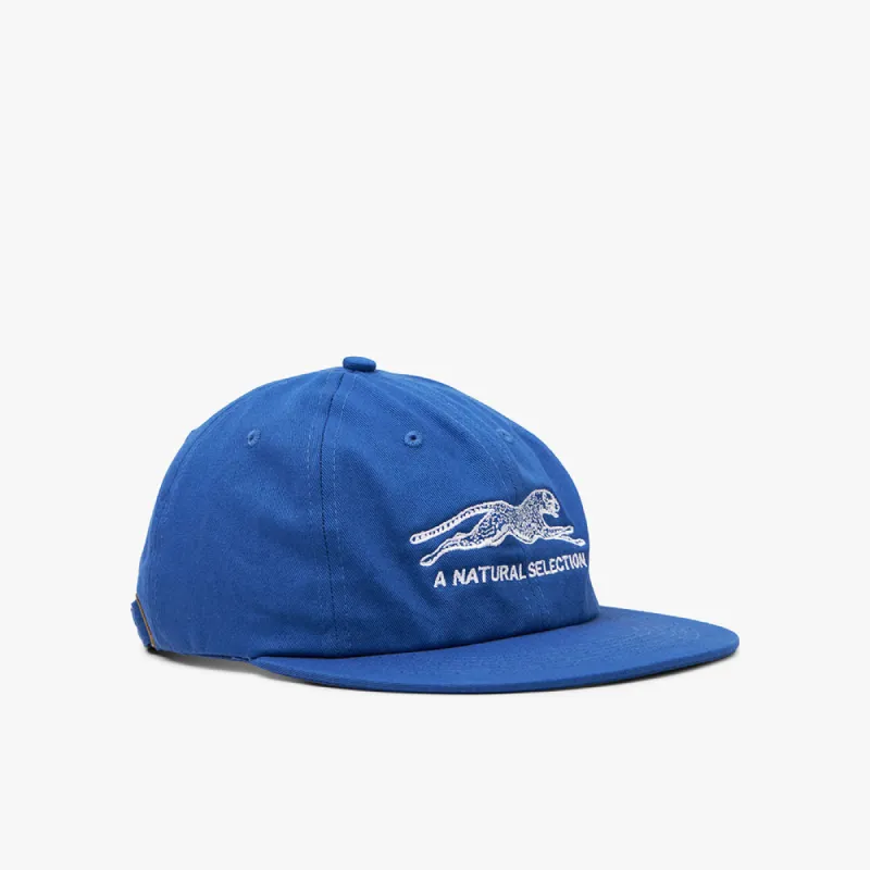 Brother Brother Natural Selection 6 Panel Cap Royal / White sold by Livestock