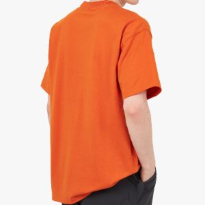 Nike ACG Lungs T-shirt / Campfire Orange sold by Livestock