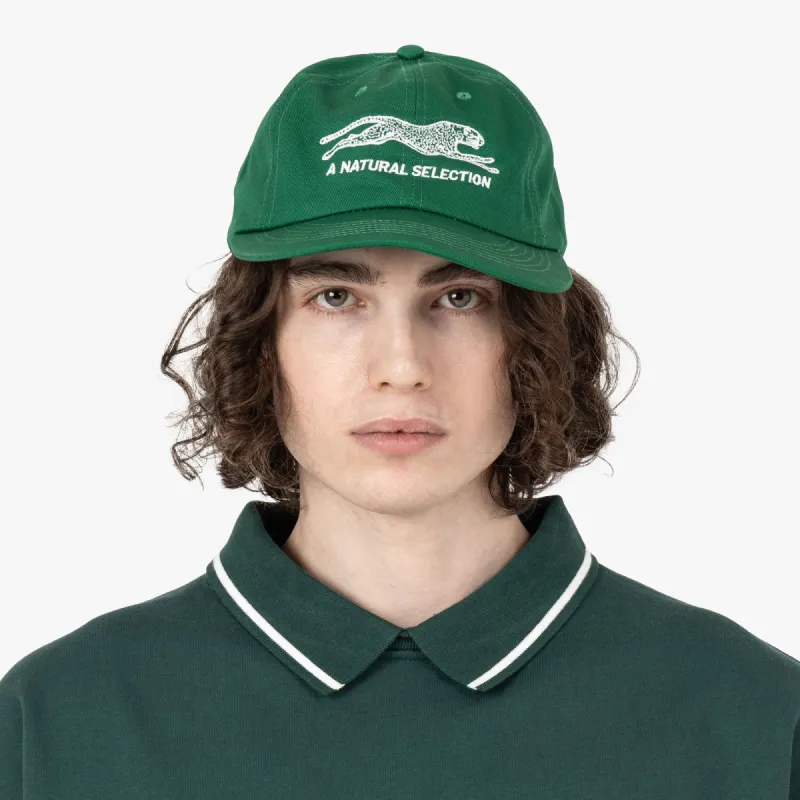 Brother Brother Natural Selection Cap Kelly Green / White sold by Livestock