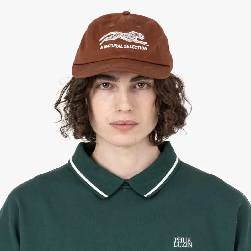 Brother Brother Natural Selection Cap Chocolate / White sold by Livestock