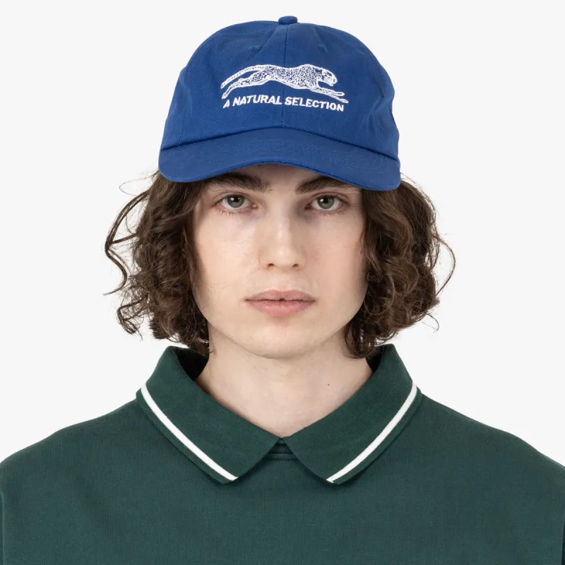 Brother Brother Natural Selection Cap Royal Blue / White sold by Livestock