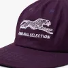 Brother Brother Natural Selection Cap Grape / White sold by Livestock