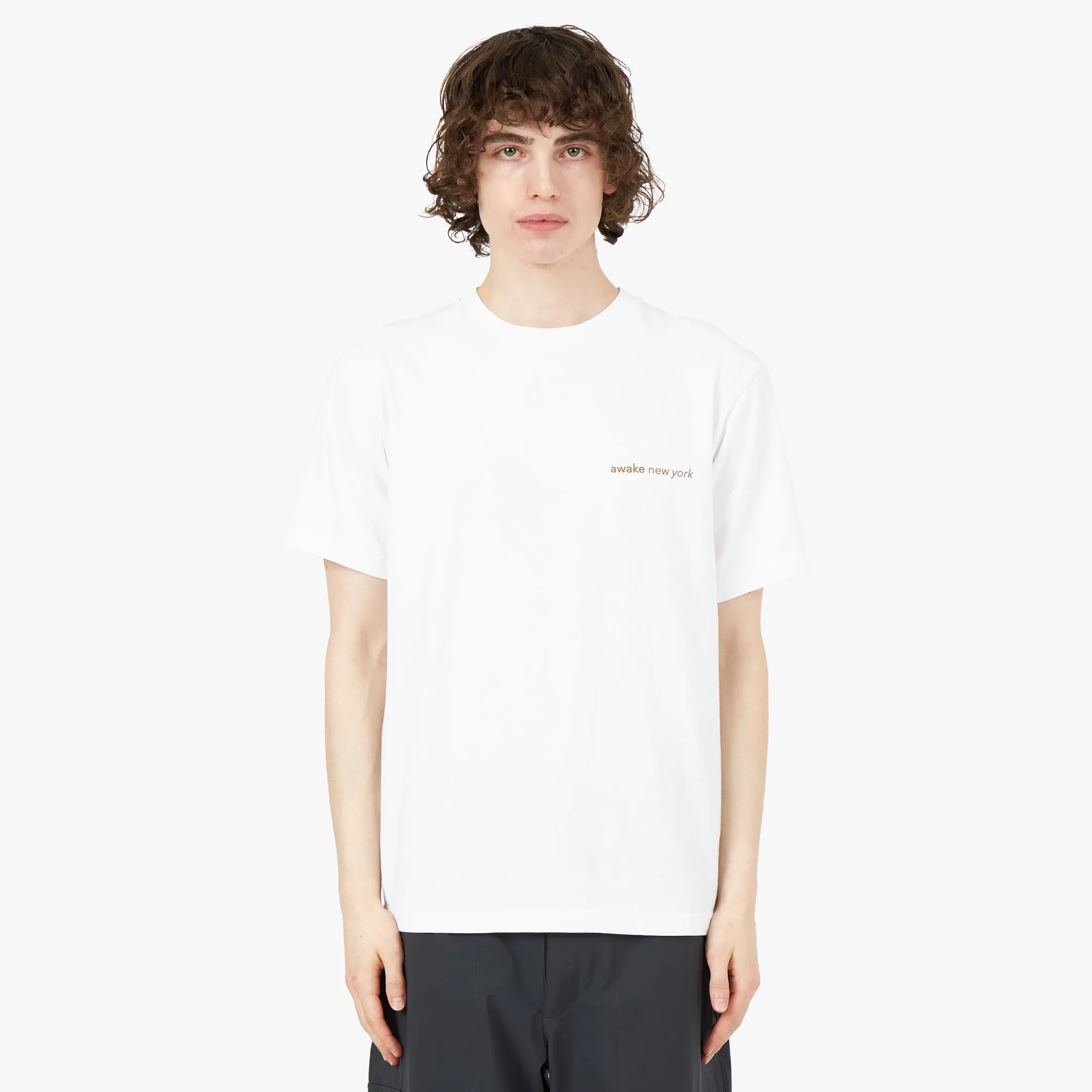 Awake NY City T-shirt / White sold by Livestock