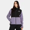 The North Face Women's Denali Jacket / Lunar Slate sold by JD Sports