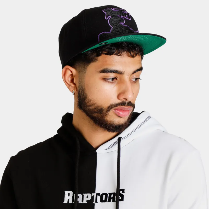 Mitchell & Ness Toronto Raptors Dynamic Snapback / Black sold by JD Sports