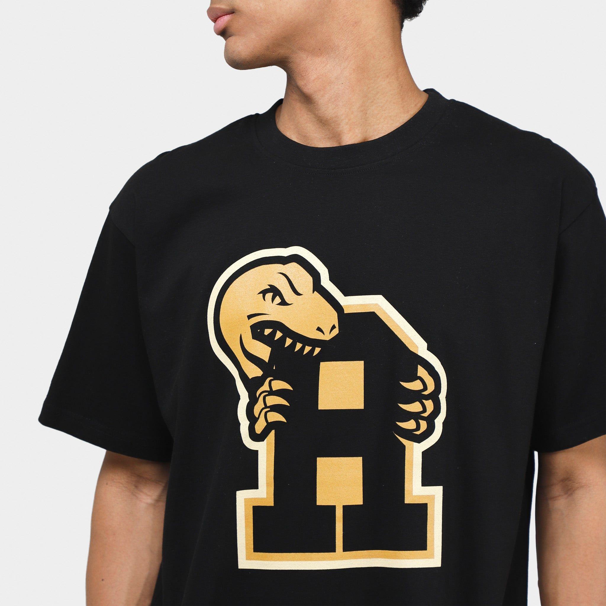 Mitchell & Ness Toronto Raptors Varsity Oversized T-shirt / Black sold by JD Sports product image thumbnail 4