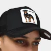 Goorin Bros. The Baddest Boy Trucker Hat / Black sold by JD Sports