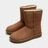 UGG Women's Classic Short II / Chestnut sold by JD Sports